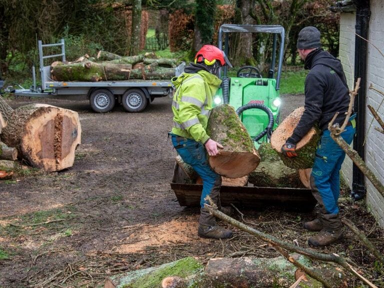 Bauholz Preis – Holzpreise kommen nicht zur Ruhe