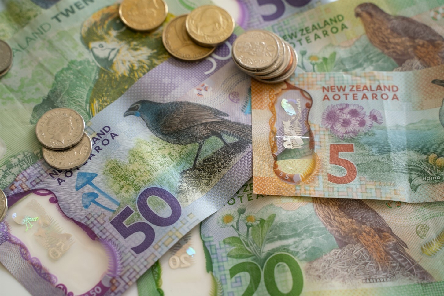 New Zealand coins and notes currency on a white background