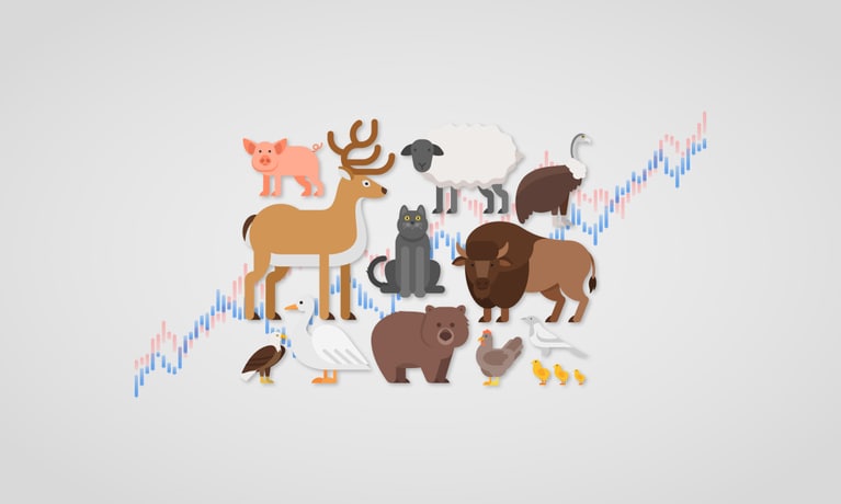 Decoding animal references in financial terms: A zoological guide to ...