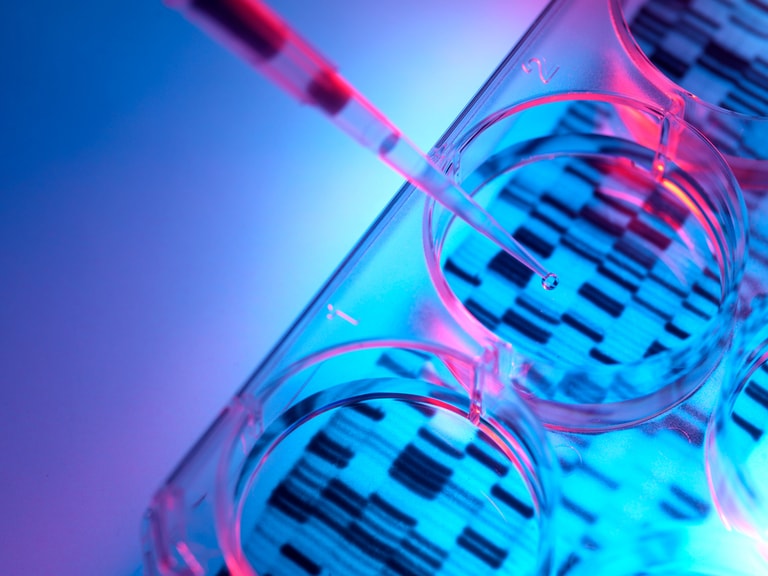 This could be a big year for biotech