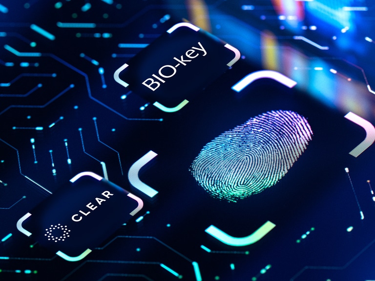 BKYI vs YOU: Which Biometric Stock Has Better Prospects?