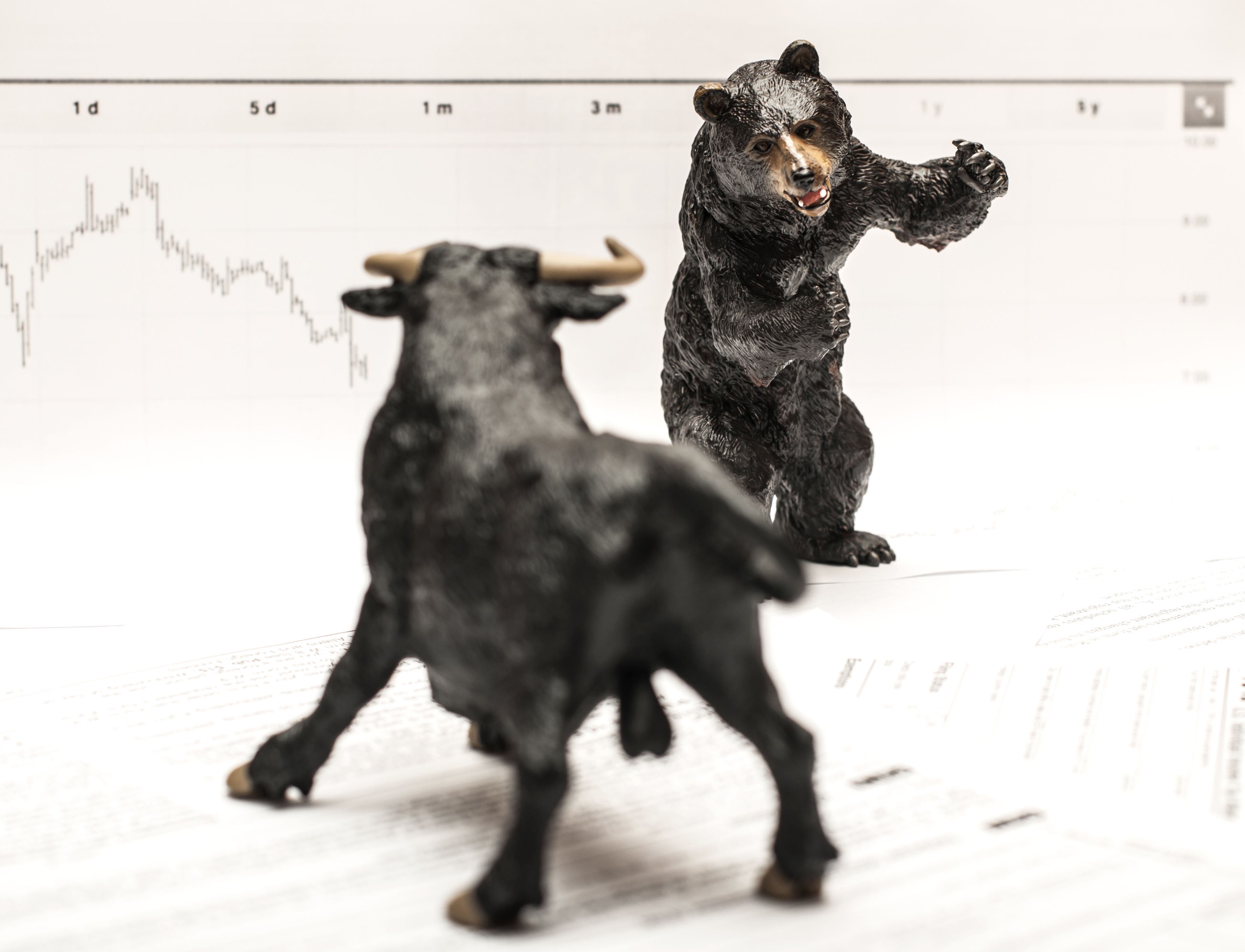 Article image shows a bull and bear circling one another.