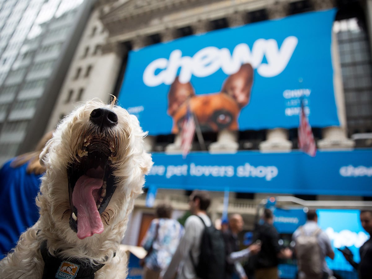 Should investors snap up Chewy’s share price?