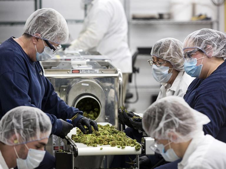 Canopy Growth Can new CEO boost the share price for the longterm?