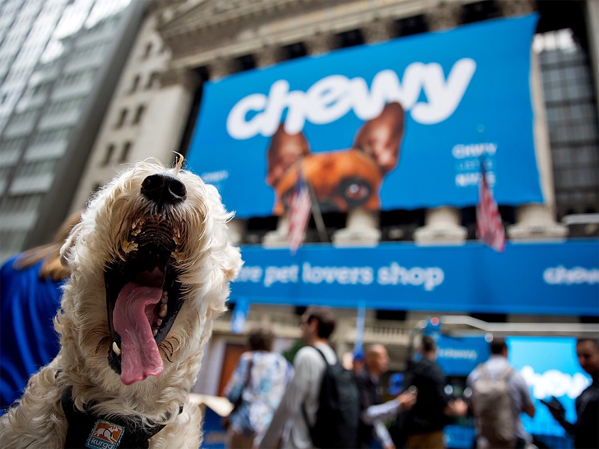 Is Chewy’s share price overfed?