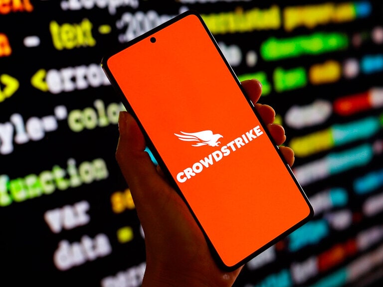 CrowdStrike in the Doghouse