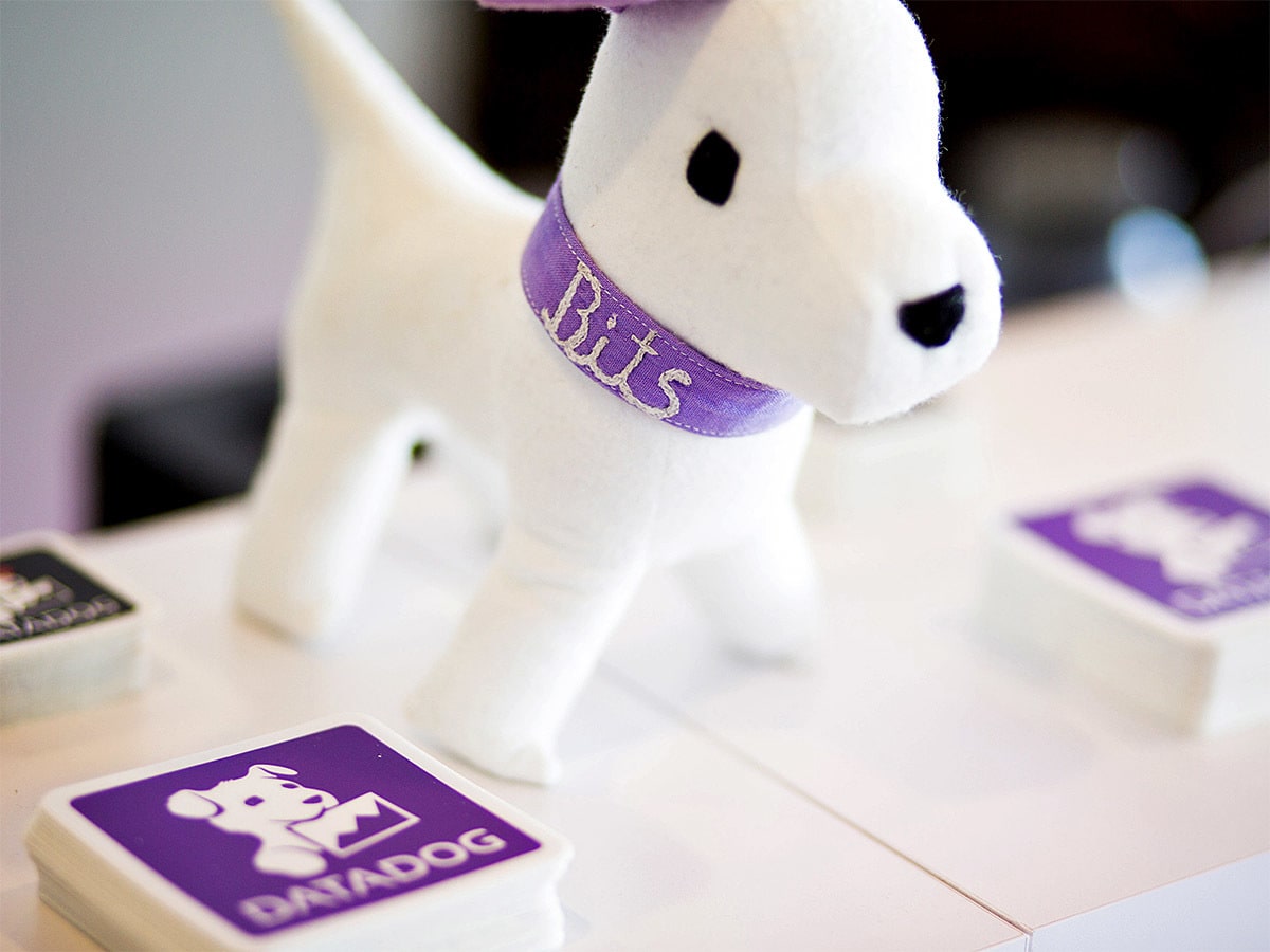 Datadog’s share price: What to expect from Q3 earnings