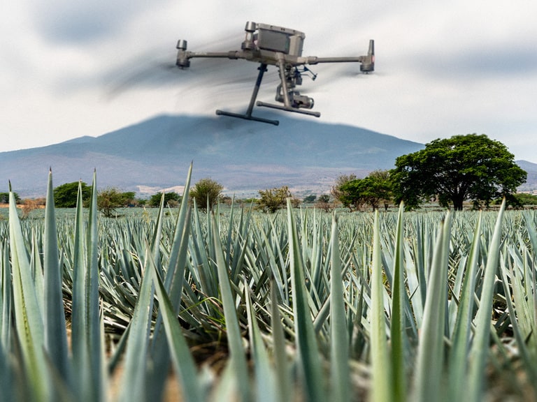 How can drones make farming more sustainable?