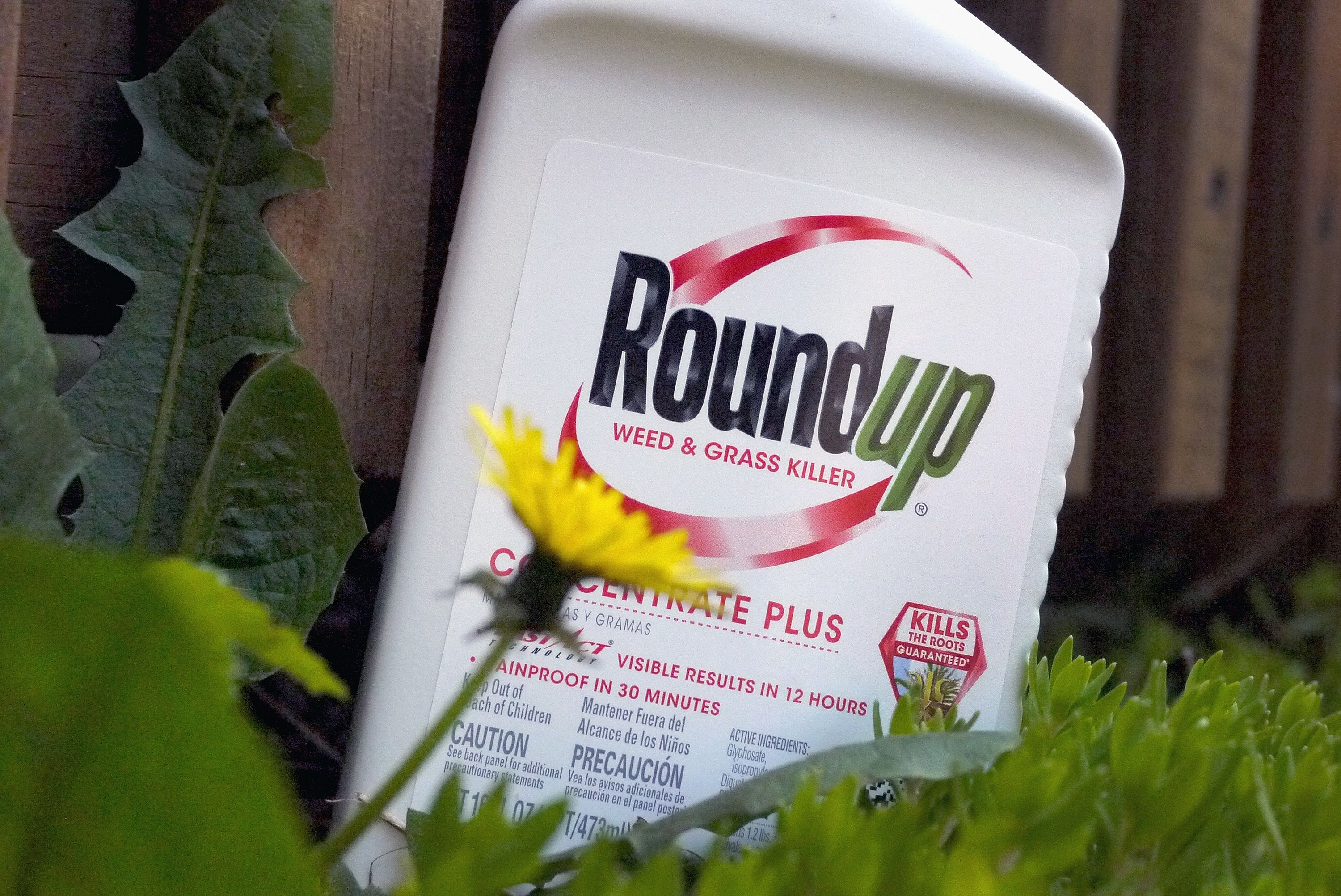 Bayer: Wenn Trump sagt, Roundup ist nicht krebsgefährdend, dann...