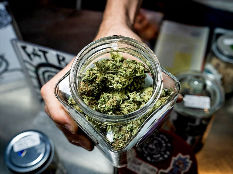 ETFMG Alternative Harvest ETF falters on stalled cannabis legislation