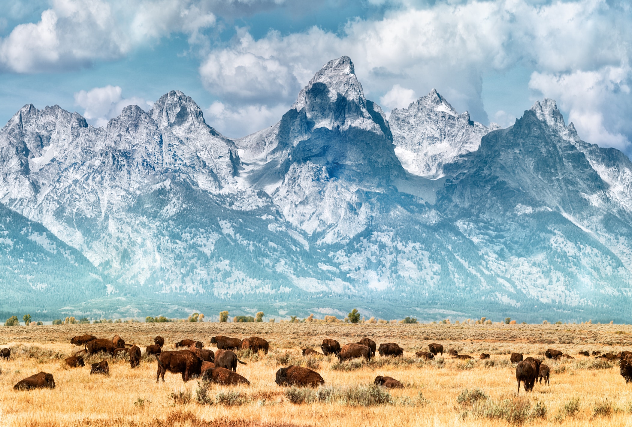 grand teton mountains