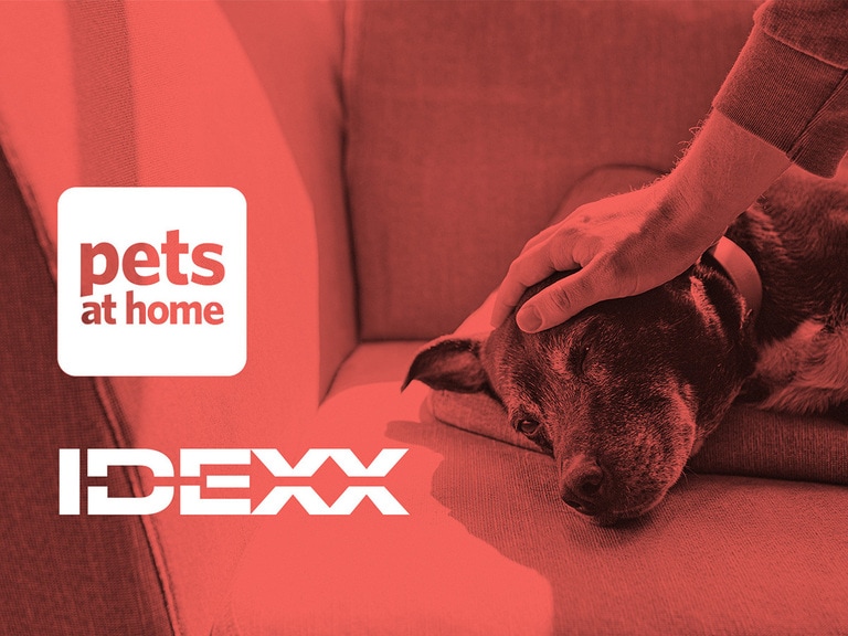 Are pet care stocks Pets at Home and IDEXX recession-proof?