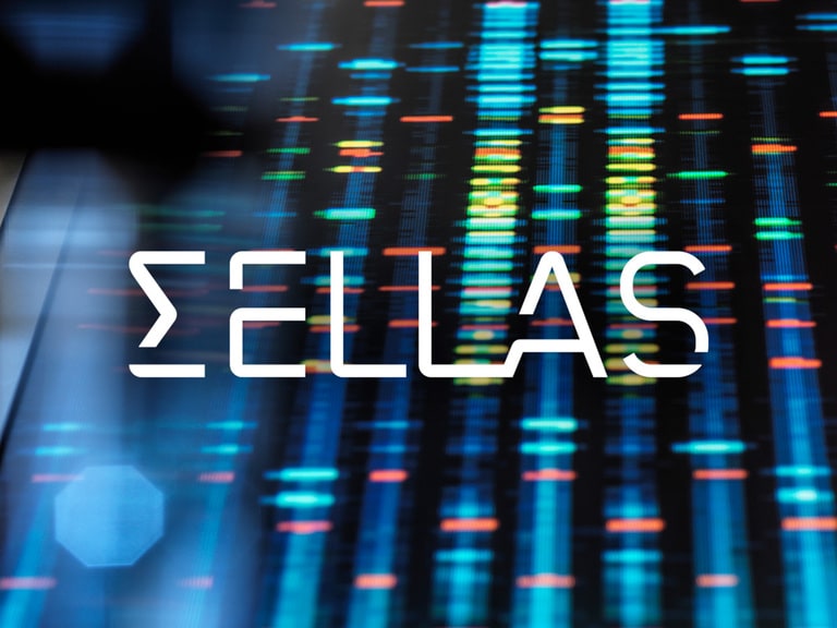 SLS Stock: SELLAS Investors Look For More After 542% Surge