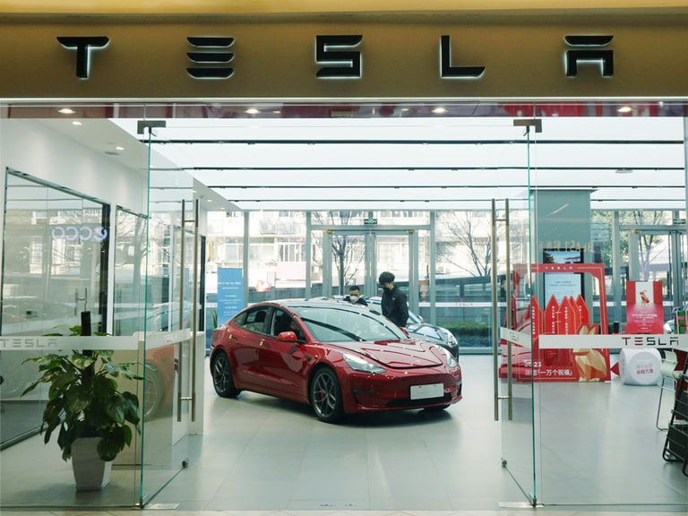 Cathie Wood buys $19m of Tesla stock as sales plummet