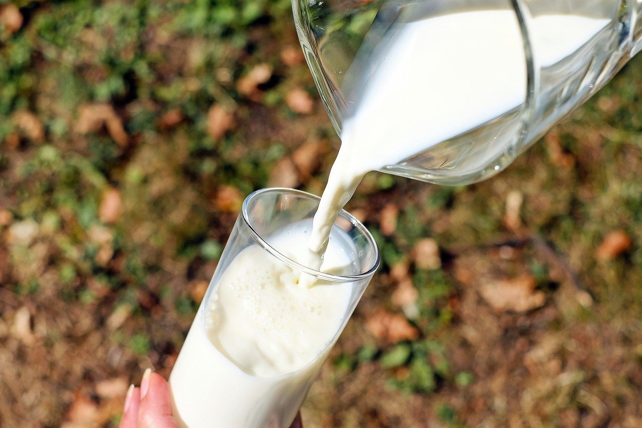 milk being poured from a glass jug into a single glass