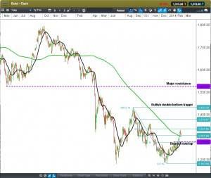 Cfd Gold Chart