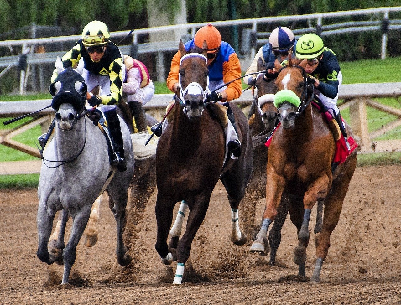 horses racing on a race track